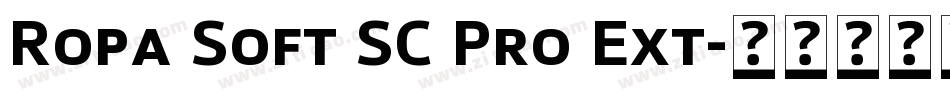 Ropa Soft SC Pro Ext字体转换